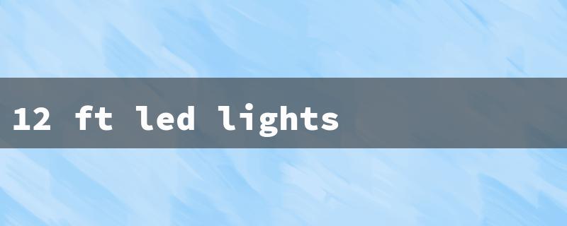 12 ft led lights（12ft LED Lights: Title Word Requirements）