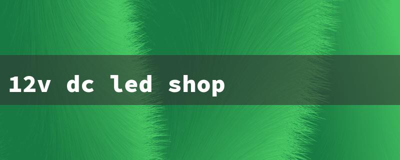 12v dc led shop lights（12V DC LED Shop Lights）