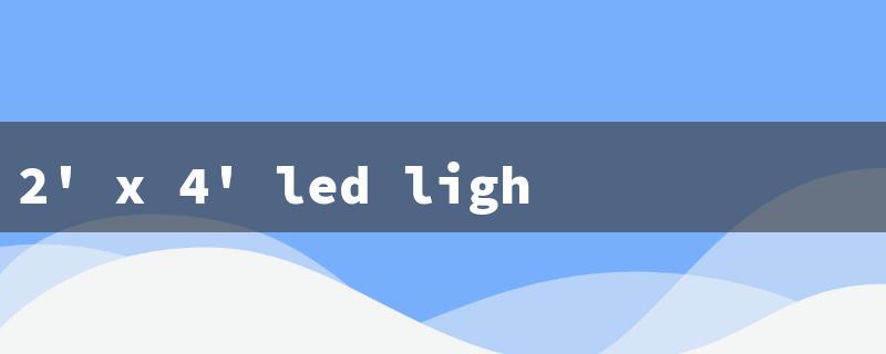 2' x 4' led light fixture（2x4 LED Light）