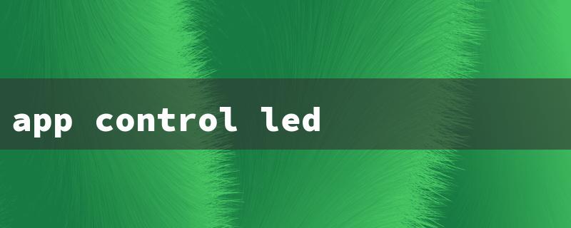 app control led lights（App Controls LED Lights）