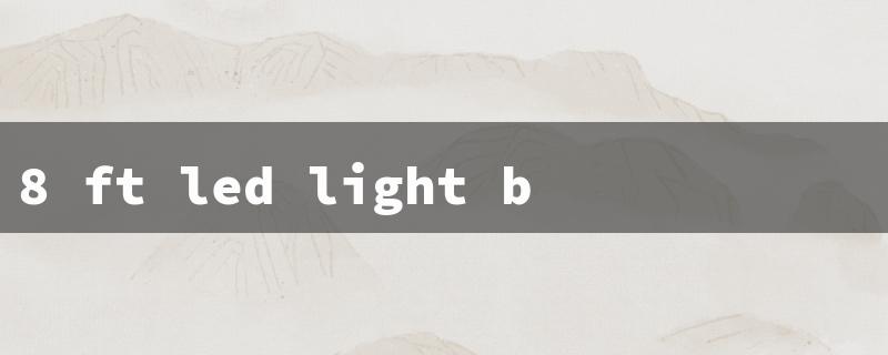 8 ft led light bulbs（8ft LED Light Bulbs）