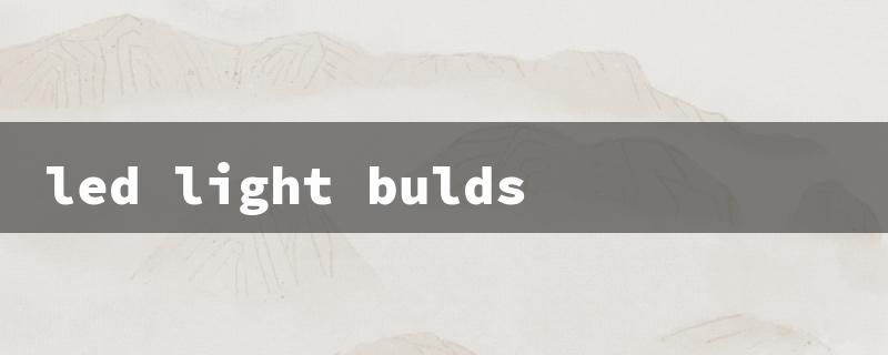 led light bulds（LED Light Bulbs）