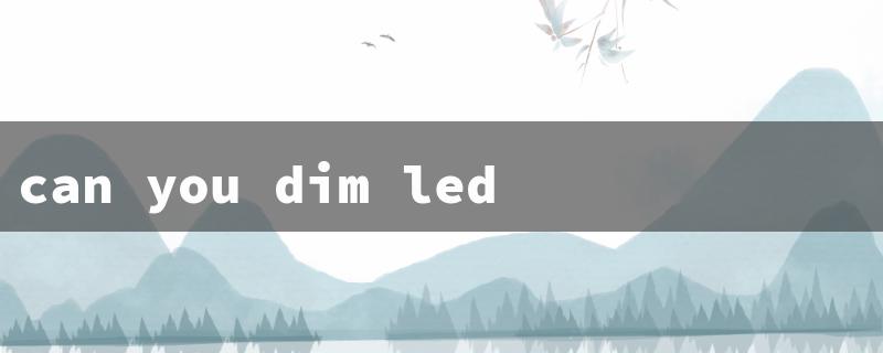 can you dim led christmas lights（Dimming LED Xmas Lights）