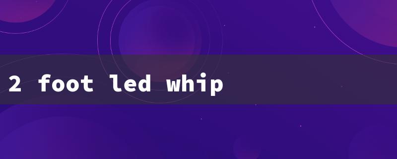 2 foot led whip lights（2ft LED Whip Lights）