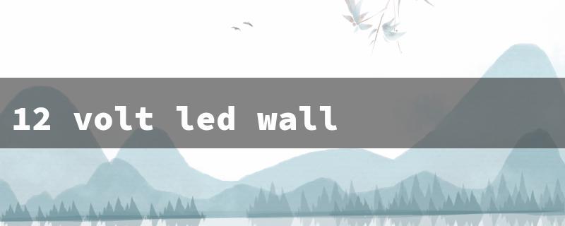 12 volt led wall lights（12V LED Wall Light）