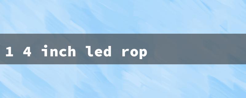 1 4 inch led rope light