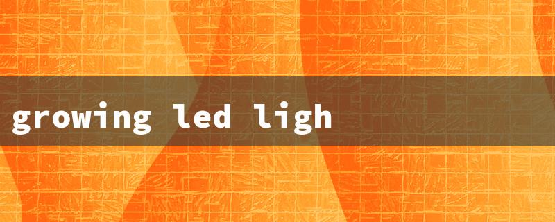 growing led lights for sale（Nearby LED Grow Lights）