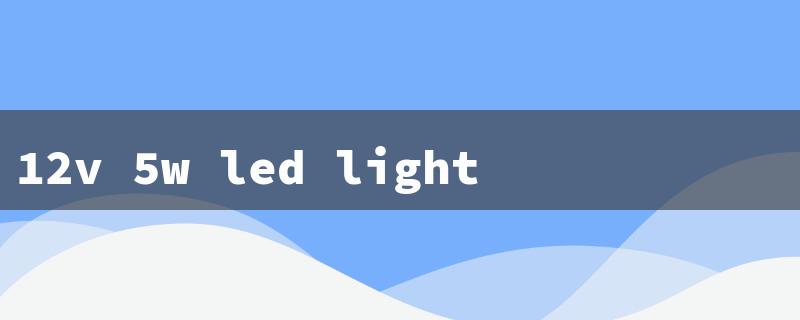 12v 5w led light（12V 5W LED Lights）