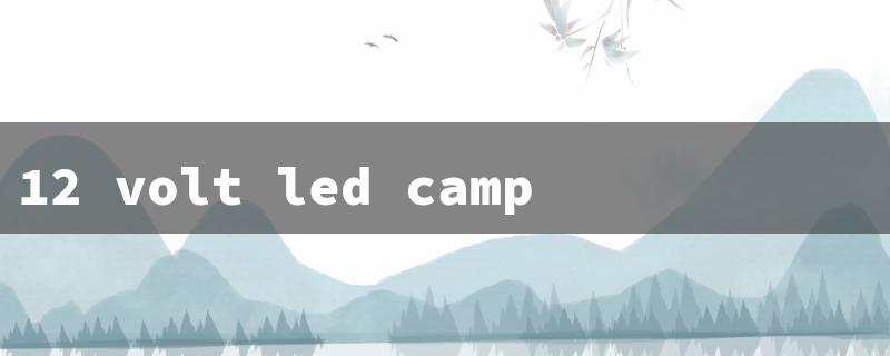 12 volt led camper lights（12V LED Camper Lights）