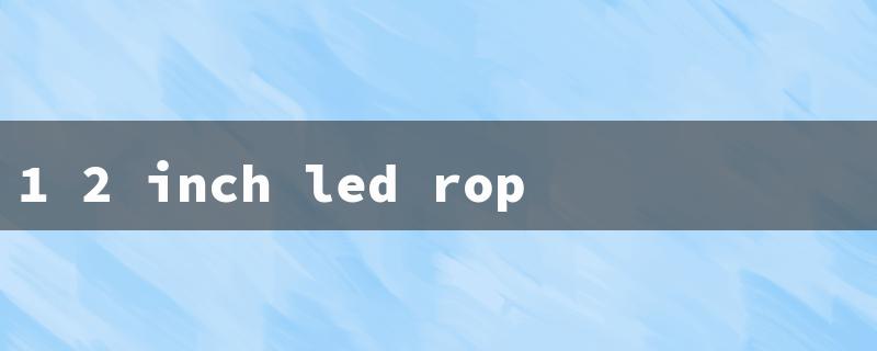 1 2 inch led rope light（1/2 inch LED Rope Light）